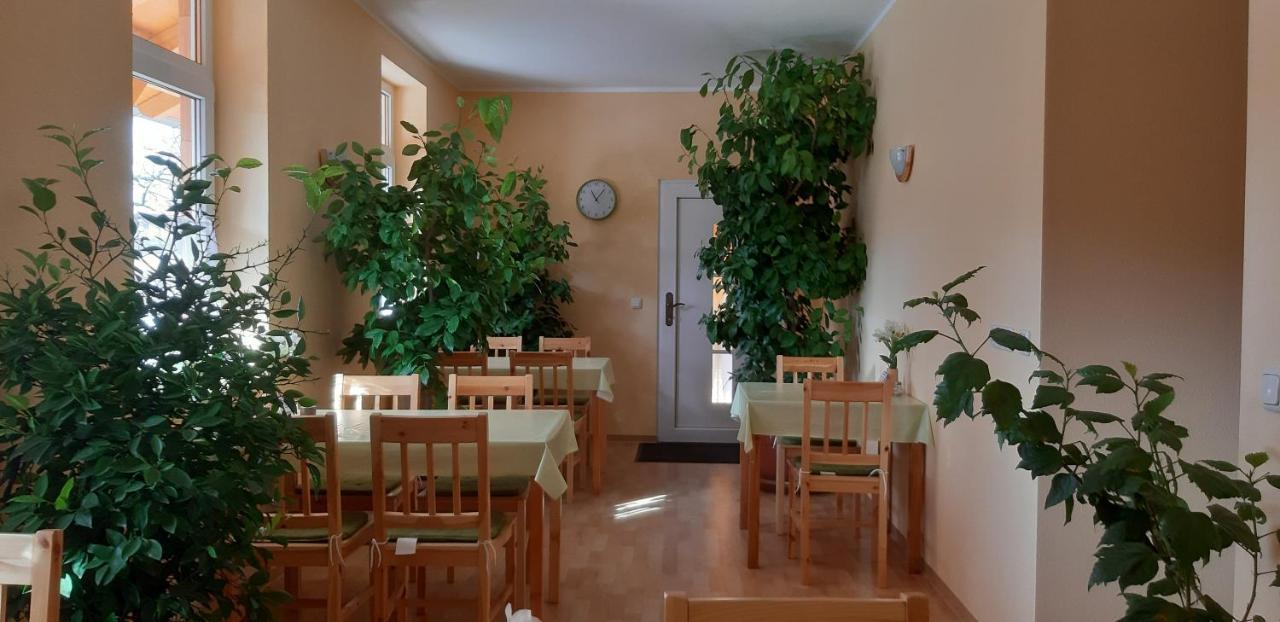 Zimmervermietung Lehmann Radebeul Exterior foto